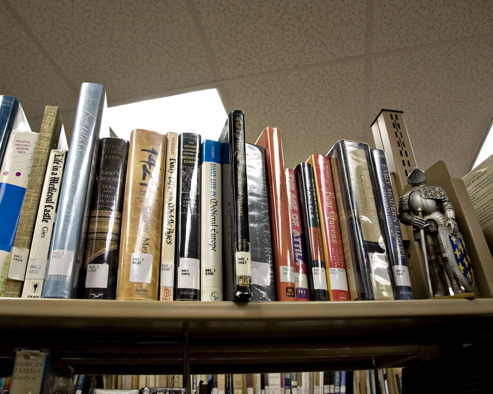 knight figure on library bookshelf