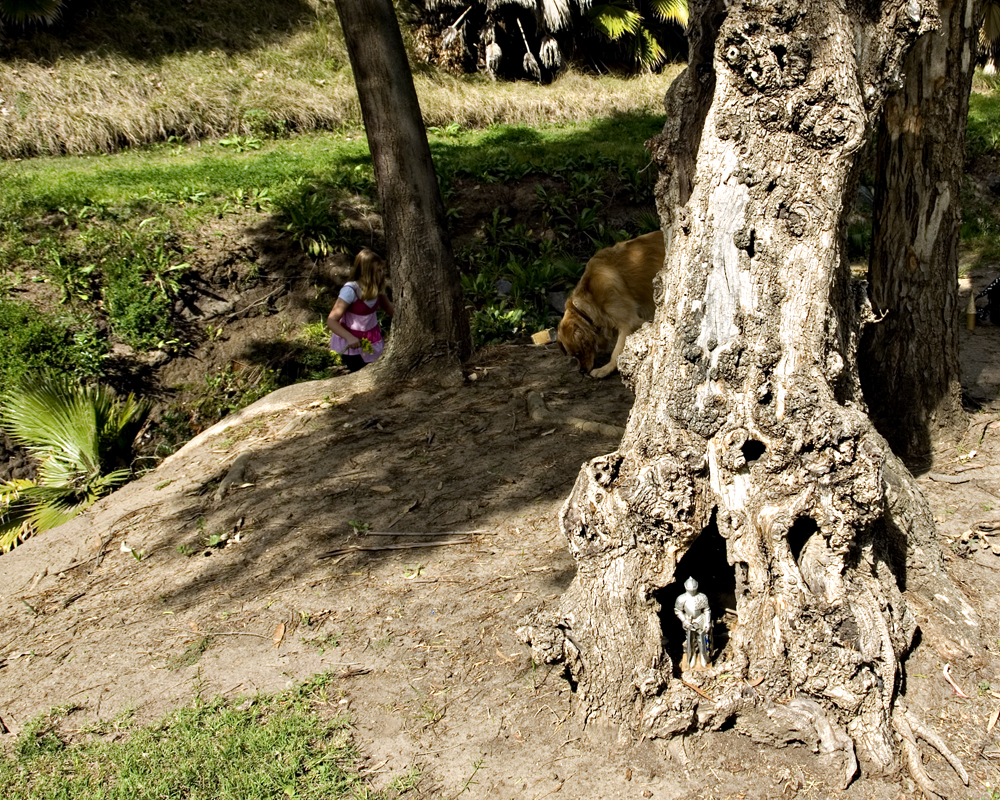 knight figure in hollow of tree