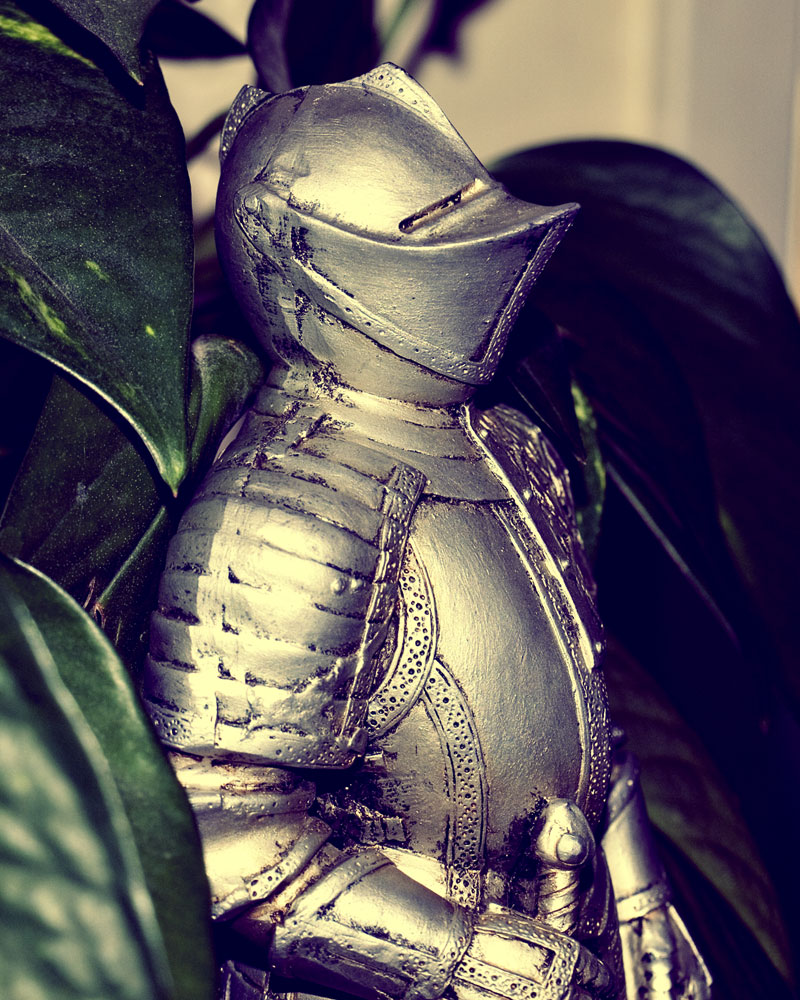 knight in profile