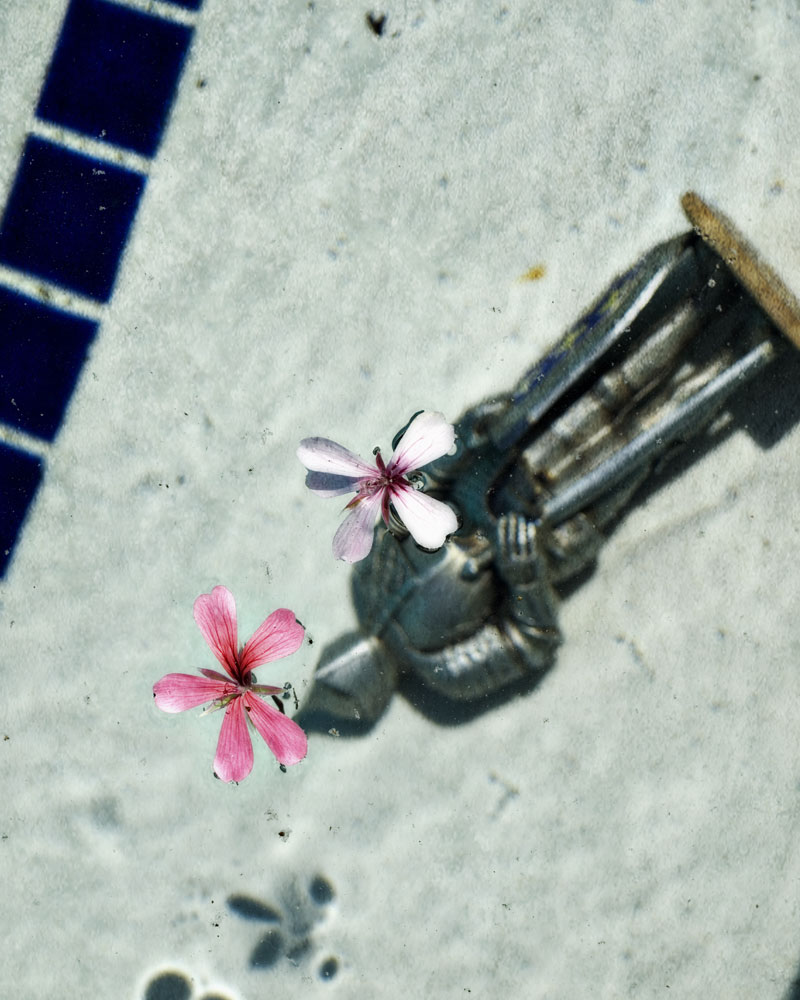 knight floating in pool with flowers