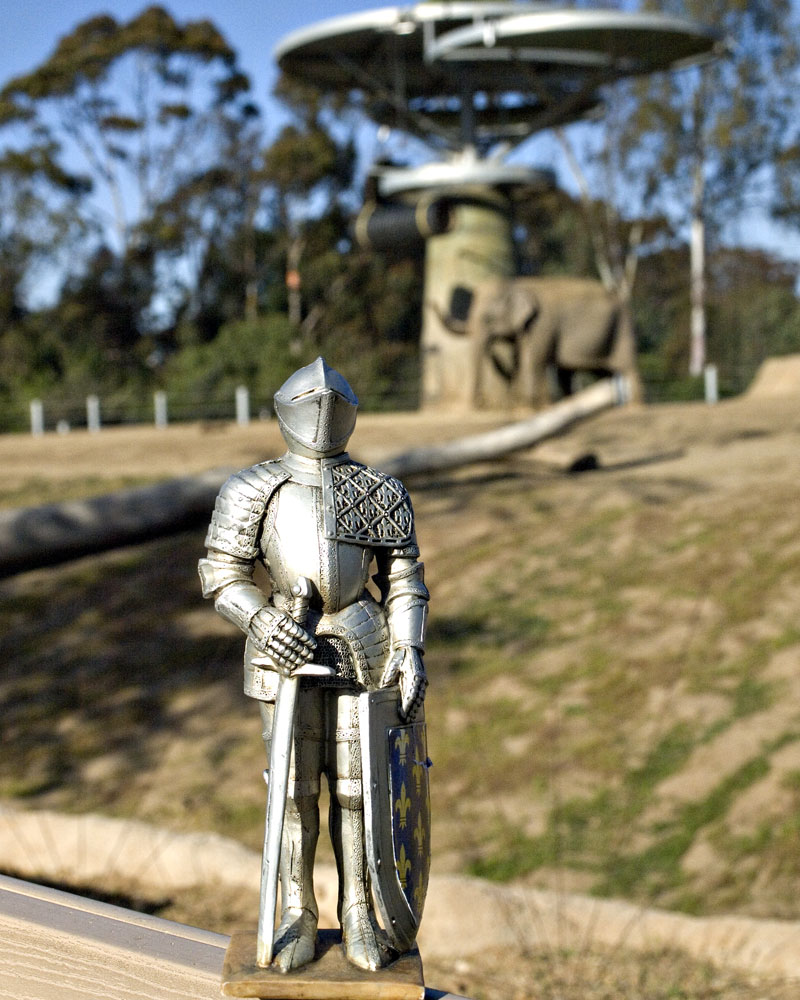 knight with elephants