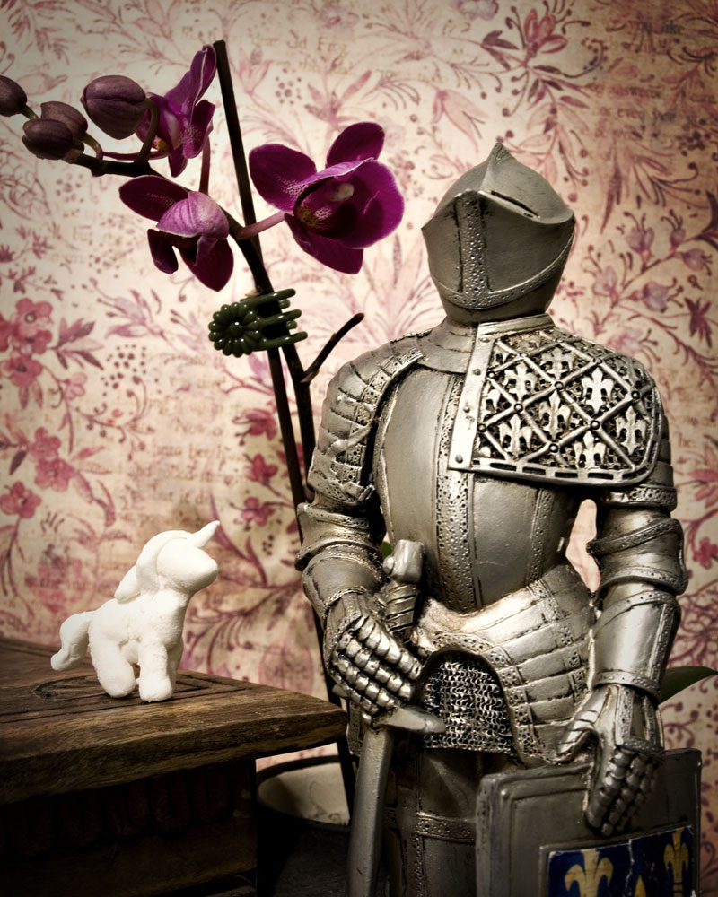 knight with tiny unicorn