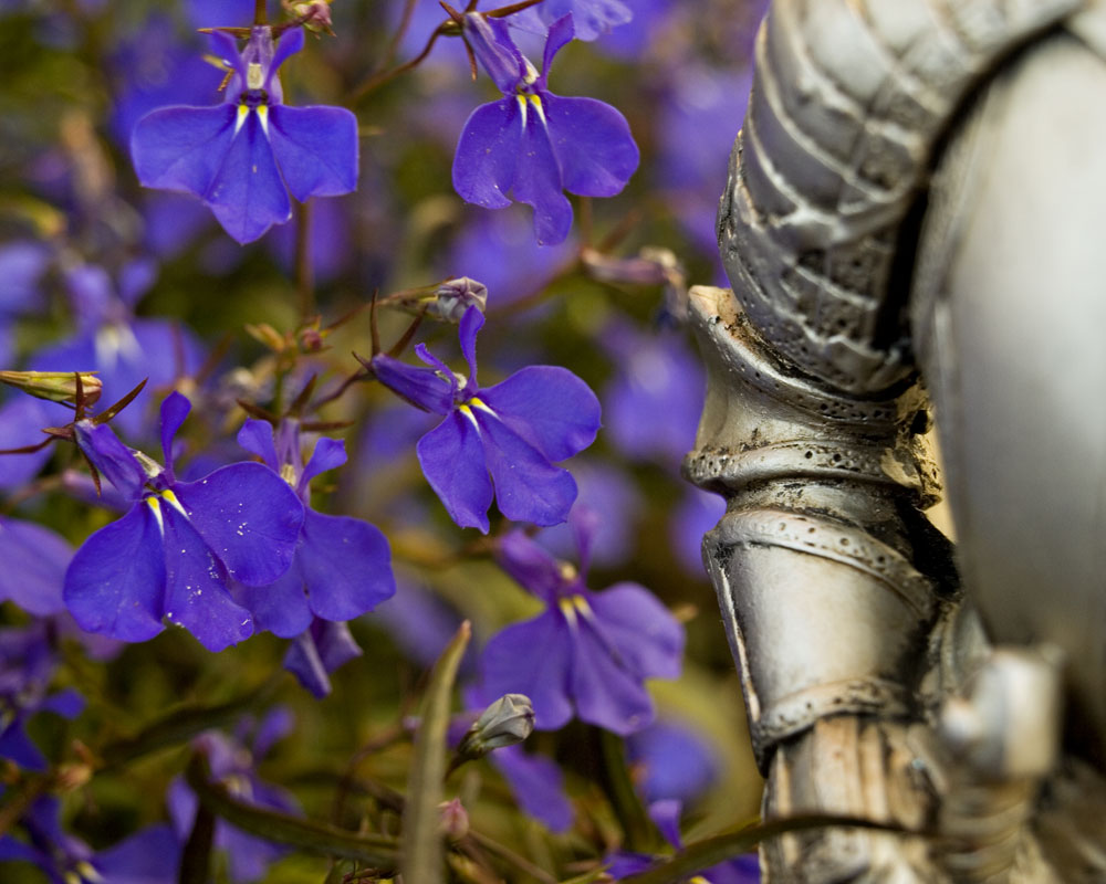 knight with purple flowers