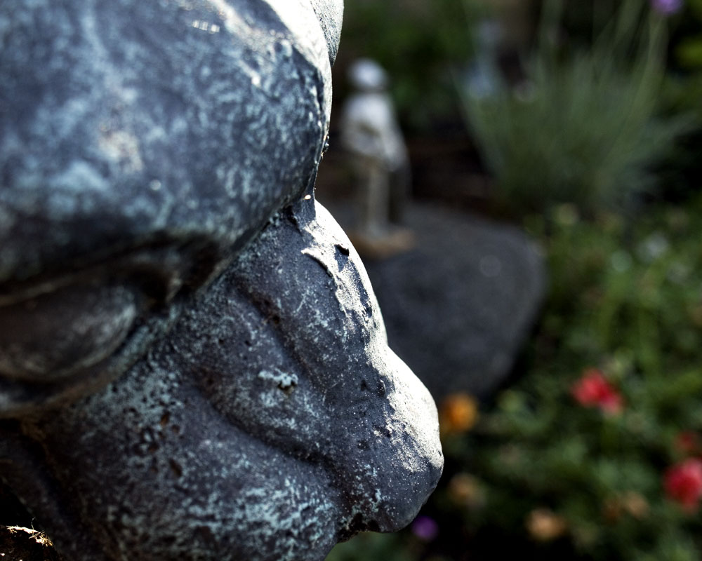 close up of cat gargoyle with knight figure in background