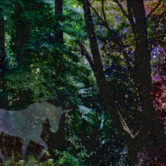 digital art of unicorn ghost in forest