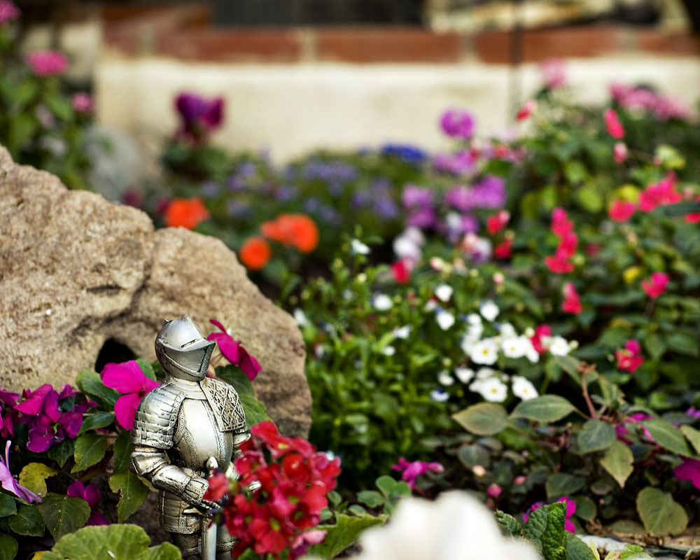 knight figure in flower garden