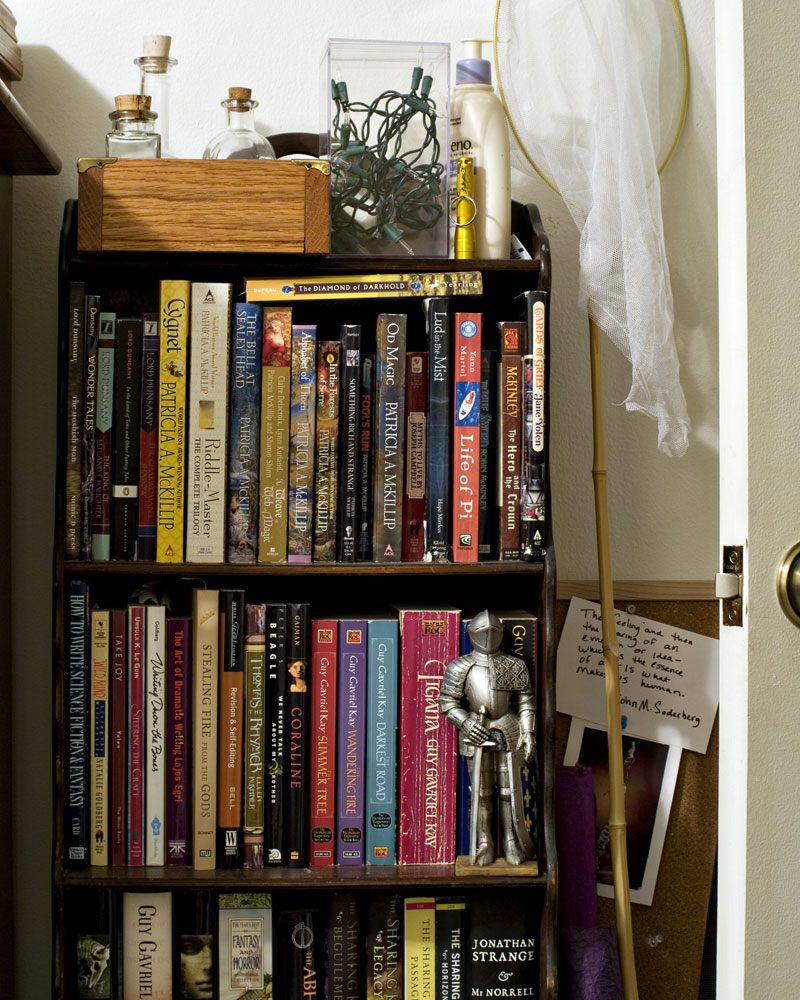 knight figure standing on bookshelf