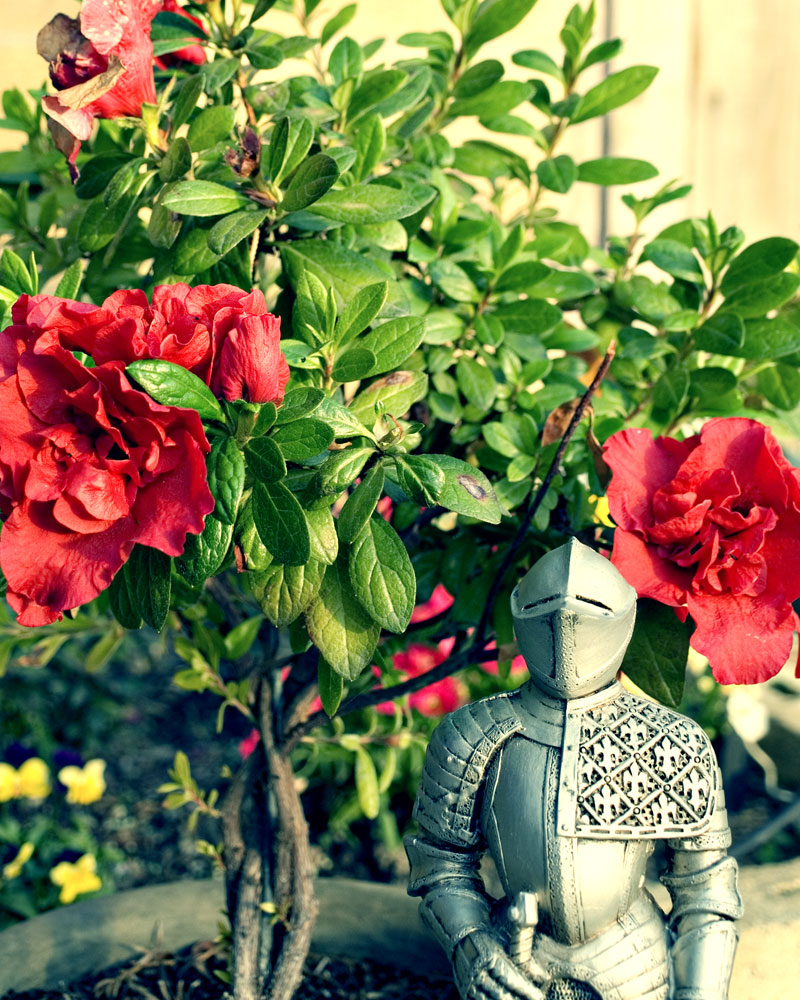knight figure with camellias