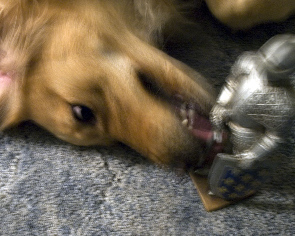 knight figure getting eaten by dog