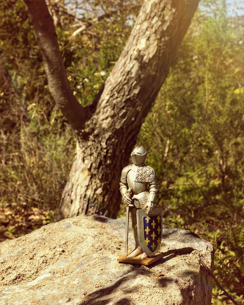 knight figure in wilderness