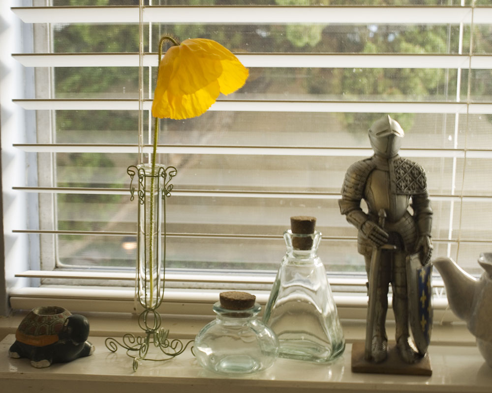 knight figure on window ledge with bottles and poppy