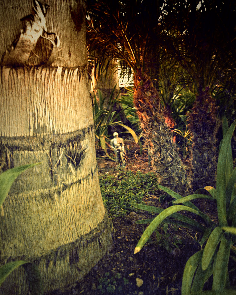 knight figure by small palms