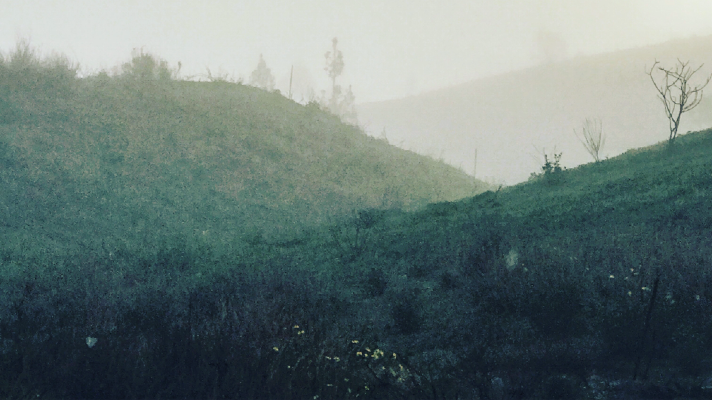 Foggy hillsides