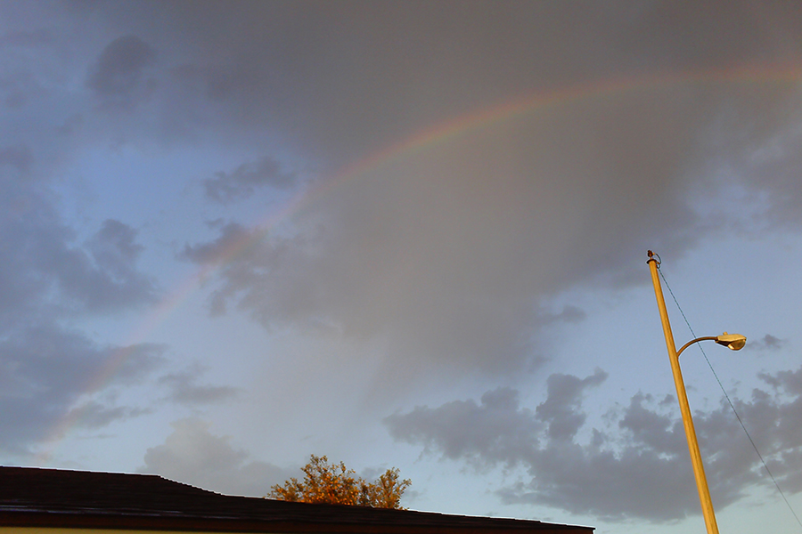 rainbow