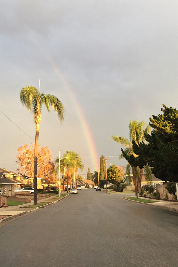 rainbow