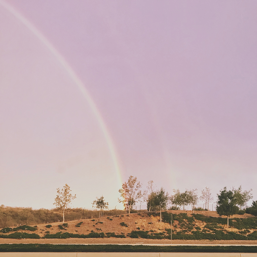 rainbow