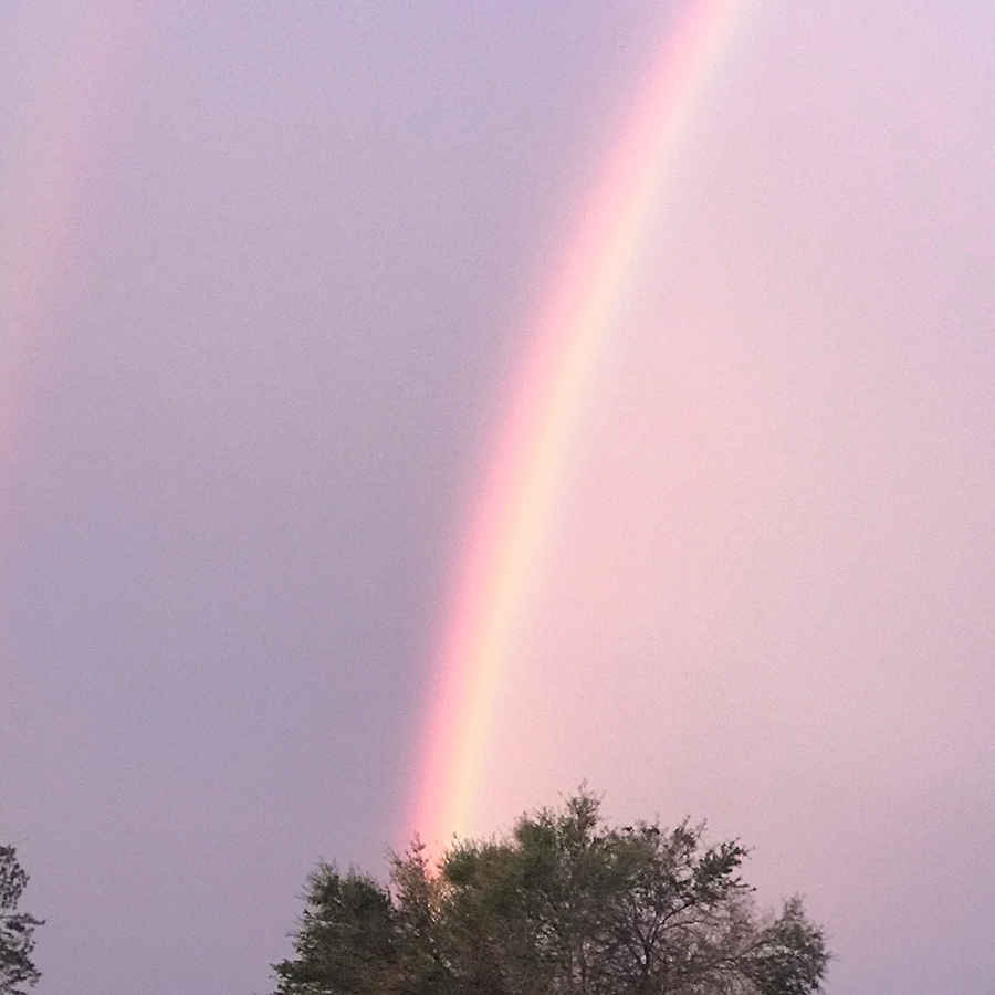 rainbow