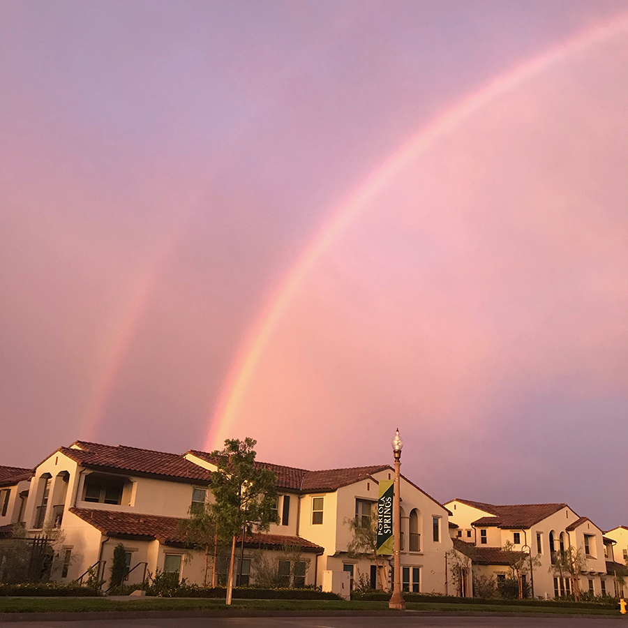 rainbow