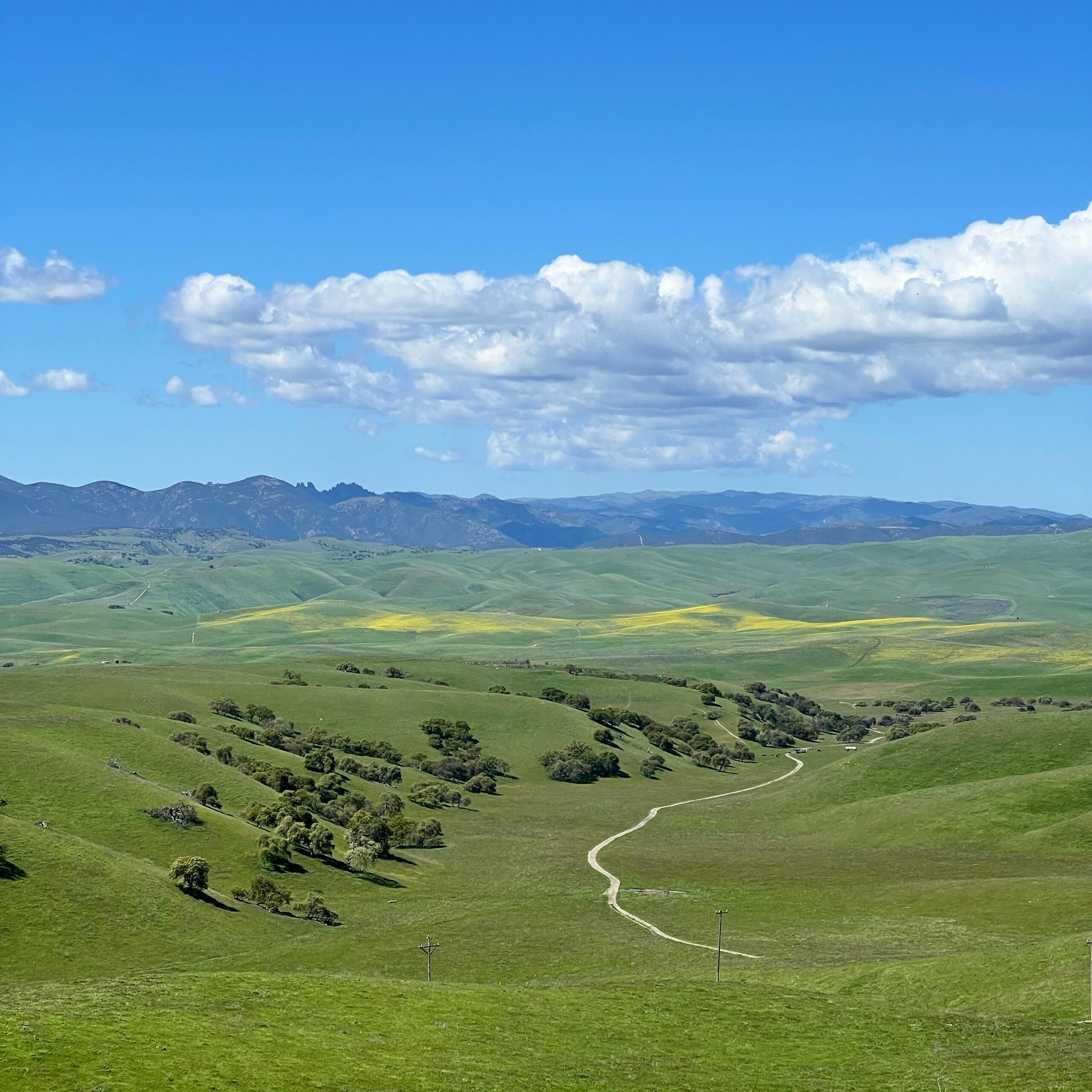 greenest hills