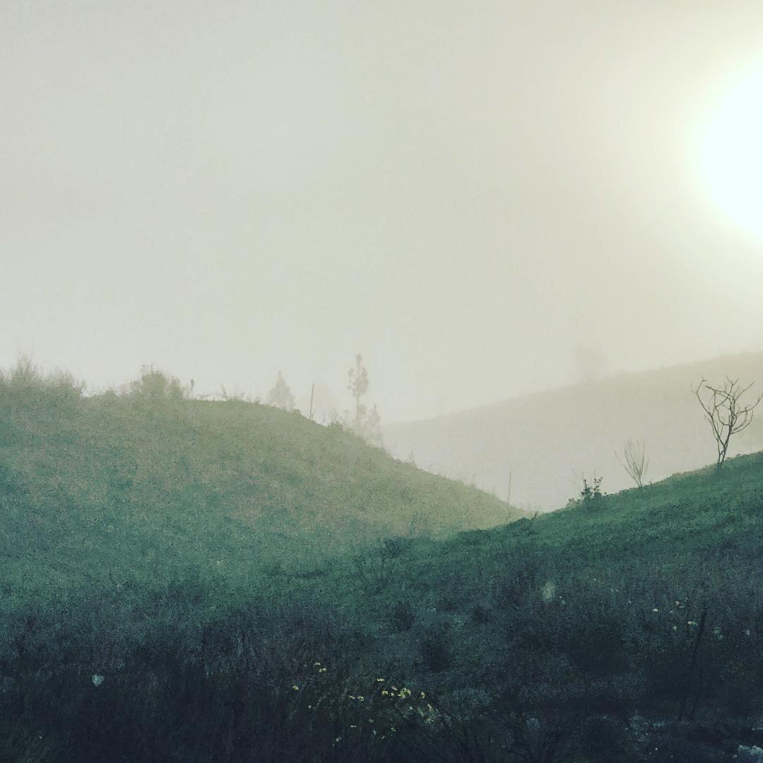 hills in morning fog