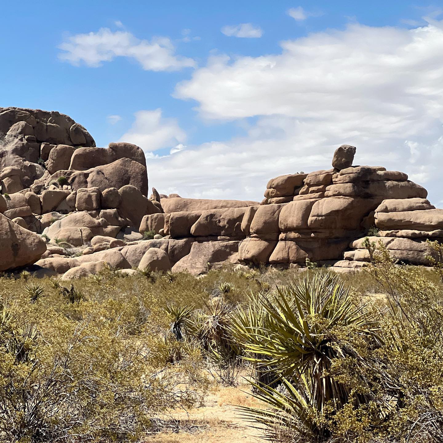 Joshua tree rock formation