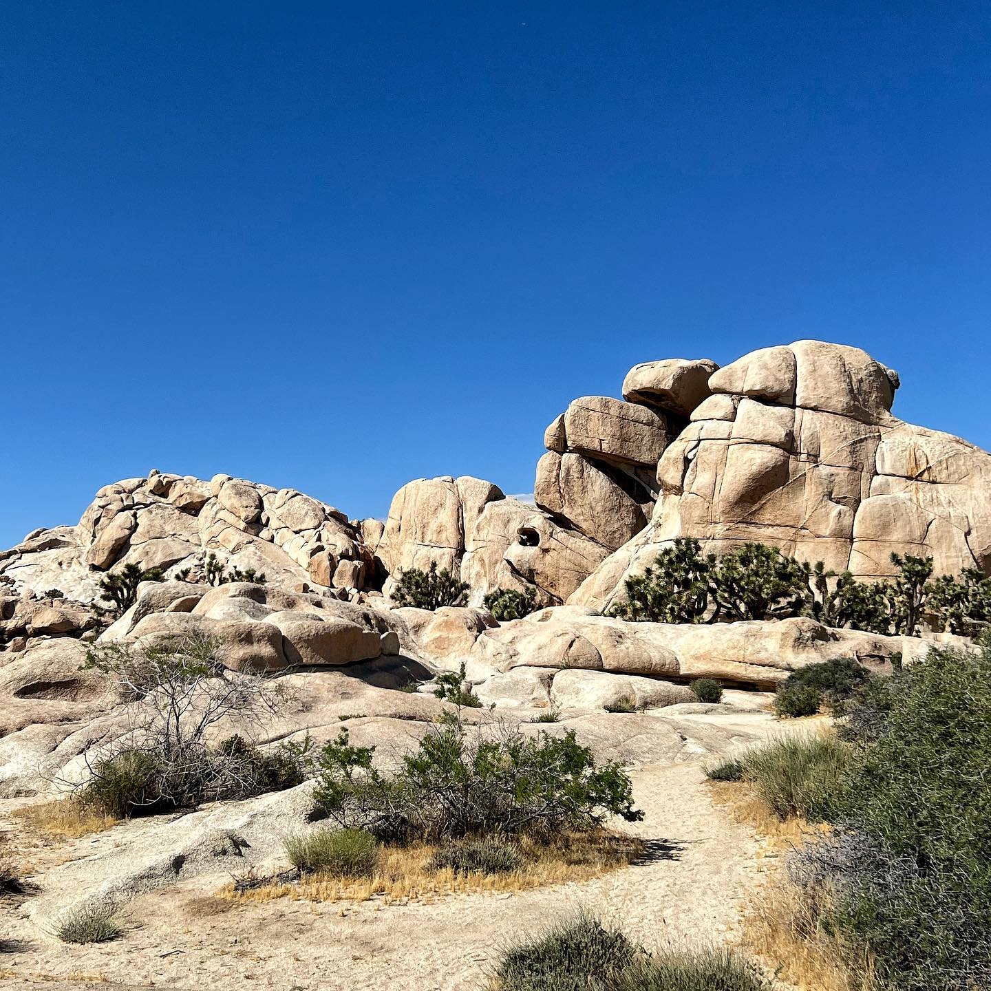 Joshua tree rock formation