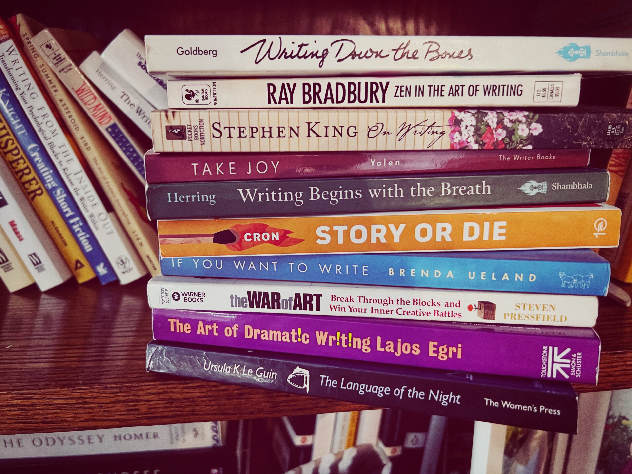 stack of writing books on a shelf
