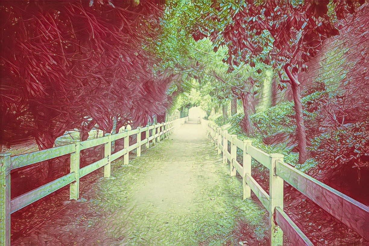 green and pink tinted photo of tree lined path with white fence